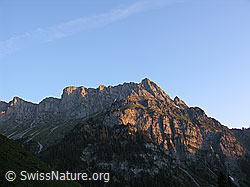 F023260: Seehore im Morgenlicht