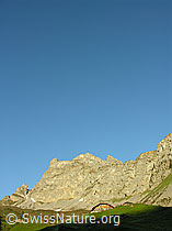 F023264: Alp Grimmi im Morgenlicht