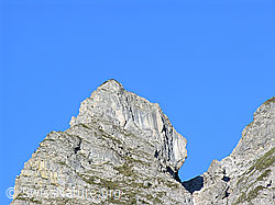 F023276: Felskopf oberhalb Alp Grimmi