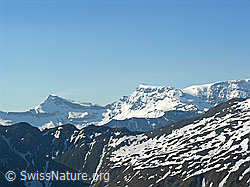 F023295: Steghorn und Grosstrubel vom Rauflihorn