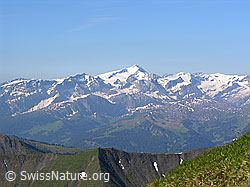 F023297: Schnidehorn - Wildhorn - Geltenhorn - Arpelistock