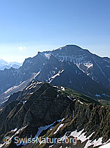 F023300: Türmlihorn und Gsür