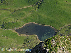 F023312: Grimmisee vom Rauflihorn