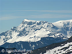 F023313: Grossstrubel vom Rauflihorn