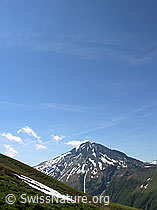 F023370: Albristhorn vom Grimmi Furggi