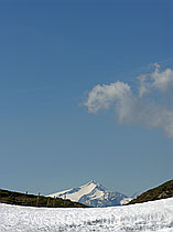 F023384: Wildhorn vom Grimmi Furggi