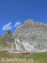 F023389: Alphütte am Fuss des Rothorns