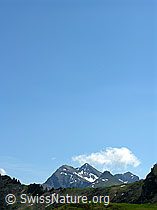 F023391: Männliflue, Galmschibe und Winterhorn