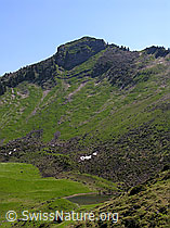 F023420: Grimmisee vor Arblihore