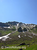 F023421: Rauflihorn vom Grimmisee