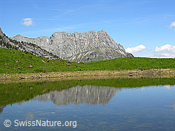 F023425: Grimmisee mit Spiegelung