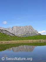 F023426: Bergsee mit Spiegelung
