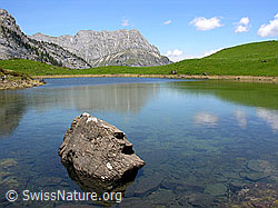 F023436: Bergsee mit Felsblock