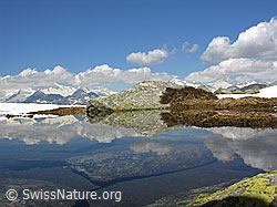 F023593: Bergsee mit Spiegelung und lockeren Wolken