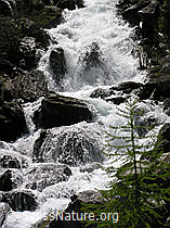 F023640: Mässerbach, Binntal