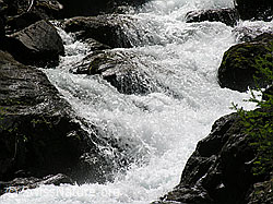 F023665: Mässerbach, Binntal