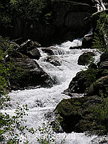 F023666: Mässerbach, Binntal