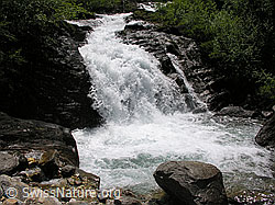 F023673: Tosender Wasserfalll im Mässerbach bei Schneeschmelze