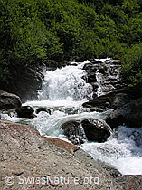 F023678: Binntal: Wilder Bergbach mit Wasserfall