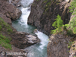 F023722: Wasser fliesst durch Twingischlucht