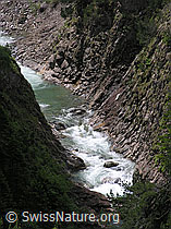 F023761: Licht und Schatten in Schlucht