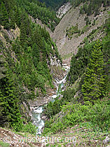 F023763: Bewaldete Steilhänge der Twingischlucht