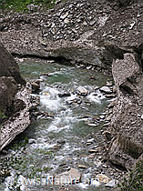 F023766: Lawinenkegel mit Bergbach