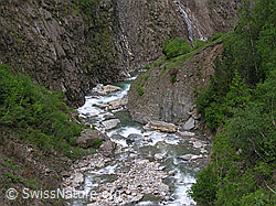 F023776: Steilhänge und Bachbett der Twingischlucht