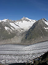 F023879: Aletschgletscher, Aletschhorn