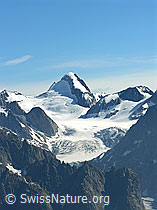 F023889: Oberaarhorn