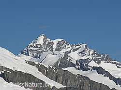 F023922: Jungfrau