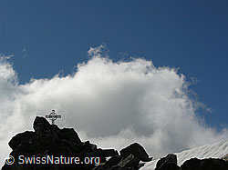 F023927: Gipfelkreuz Eggishorn