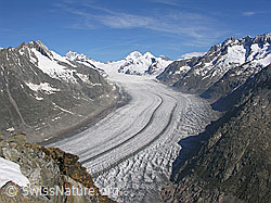 Foto: Eggishorn: Aletchgletscher