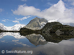 F023974: Spiegelung in Bergsee am Eggishorn