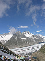 F023979: Märjelesee und Aletschgletscher