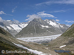 F023987: Aletschgletscher und Märjelesee