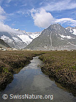 F023998: Wasserlauf führt Richtung Olmenhorn