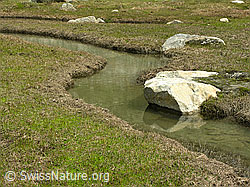 F024003: Wasserlauf beim Märjelesee mit Felsblöcken