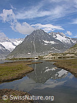 F024005: Märjelesee: Wasserlauf mit Spiegelung des Olmenhorns