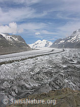 F024017: Aletschgletscher