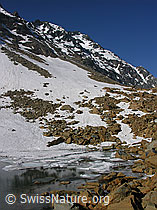 F024122: Zantmärjelesee, Binntal