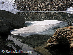 F024126: Zantmärjelesee, Binntal