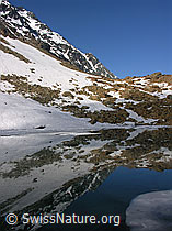 F024130: Gleichmässige Spiegelung im Zantmärjelesee, Binntal