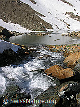 F024150: Zantmärjelesee, Binntal