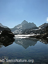 F024168: Züesee: Spiegelung Grampielhorn im klaren Wasser