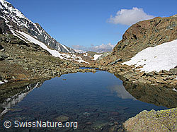 F024177: Züesee, Binntal
