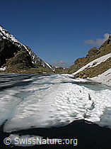F024184: Züesee, Binntal