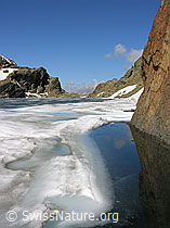 F024192: Züesee, Binntal