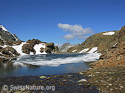 F024195: Eisschollen auf Bergsee im Binntal