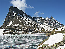 F024209: Geisspfadsee, Binntal
